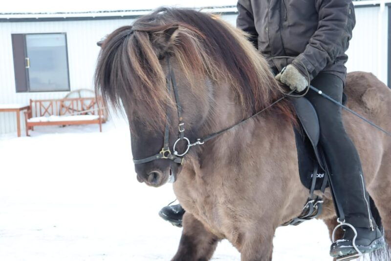 from-akureyri-skagafjordur-farm-visit-with-viking-battle