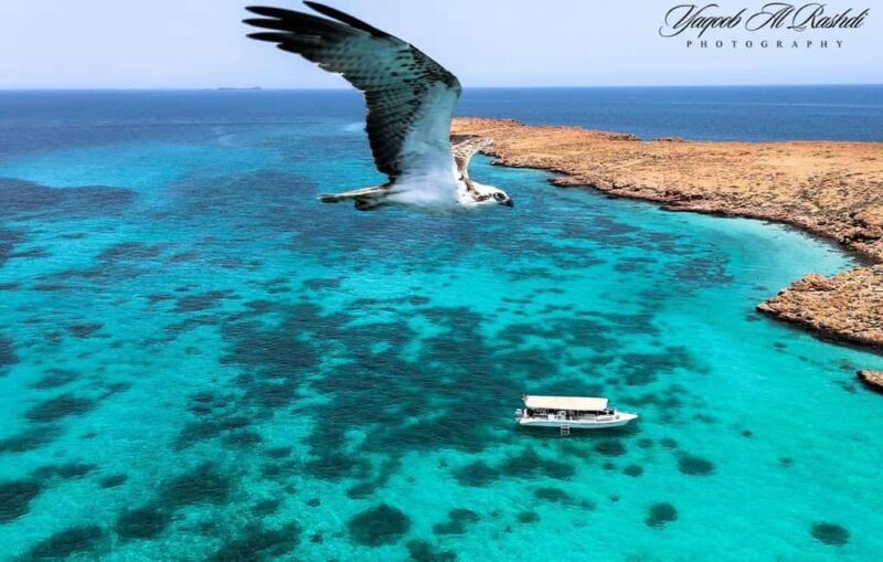 From Al-Seeb: Dimaniyat Islands Boat Trip with Snorkeling - Why Choose the Dimaniyat Islands Boat Trip?