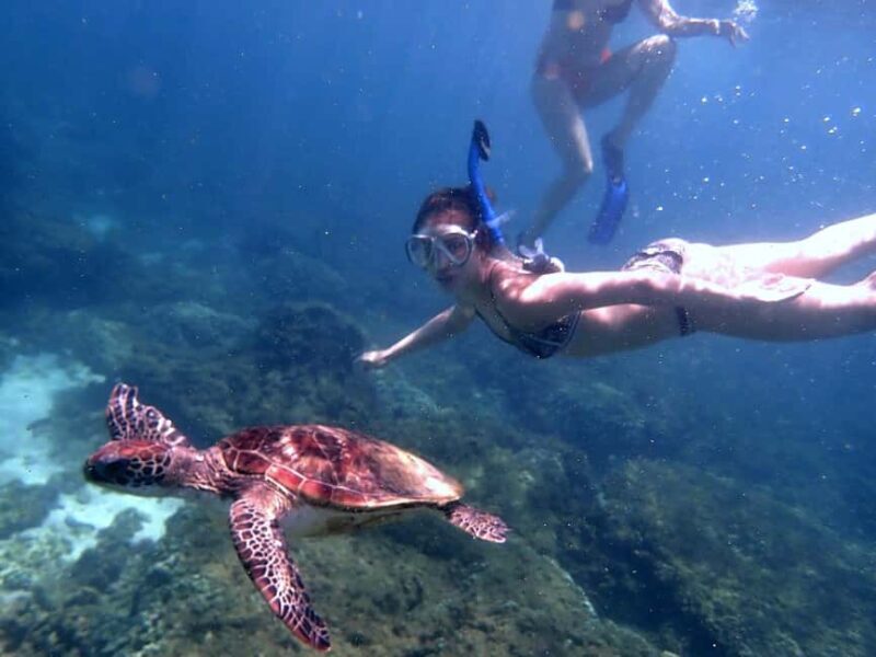 From Al-Seeb: Dimaniyat Islands Boat Trip with Snorkeling - FAQ
