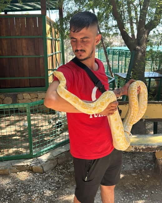 From Alanya: Lion Safari & Green Canyon Splash Feast w/Lunch - The Itinerary Breakdown: What to Expect