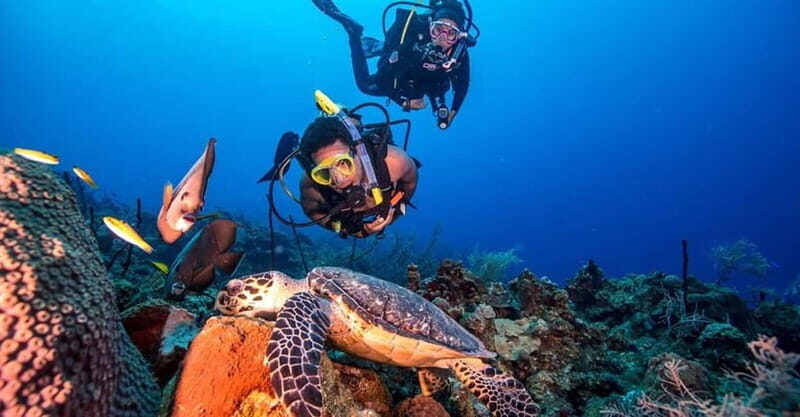 From Alanya: Scuba Diving Tour with Hotel Transfers - Is This Tour Worth It?