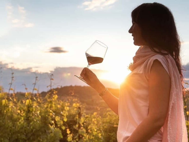 From Alba: Barolo & Barbaresco Wine Tasting Tour - Exploring the Itinerary: What to Expect