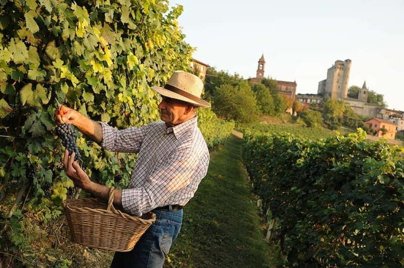 From Alba: Barolo & Barbaresco Wine Tasting Tour - Who Will Love This Tour?