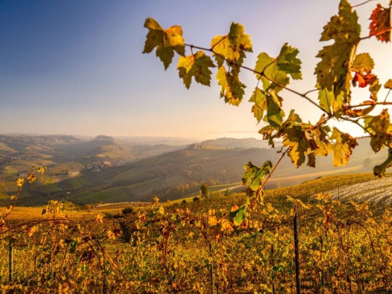 From Alba: Barolo & Barbaresco Wine Tasting Tour - FAQ