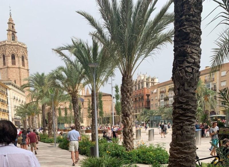 from-albir-altea-benidorm-calpe-valencia-city-excursion-2