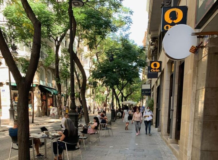 from-albir-altea-benidorm-calpe-valencia-city-excursion-2
