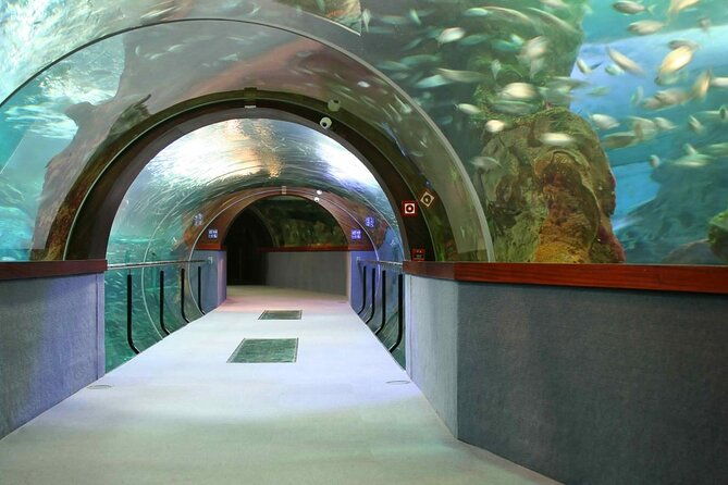 from-albir-altea-benidorm-calpe-valencia-city-excursion