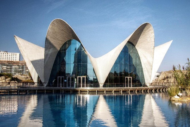 from-albir-altea-benidorm-calpe-valencia-city-excursion