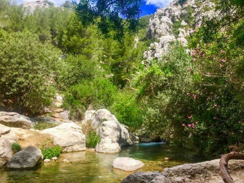 from-albir-or-benidorm-algar-waterfalls-day-trip