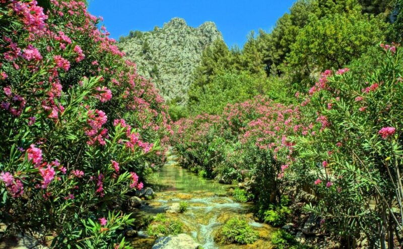 from-albir-or-benidorm-algar-waterfalls-day-trip
