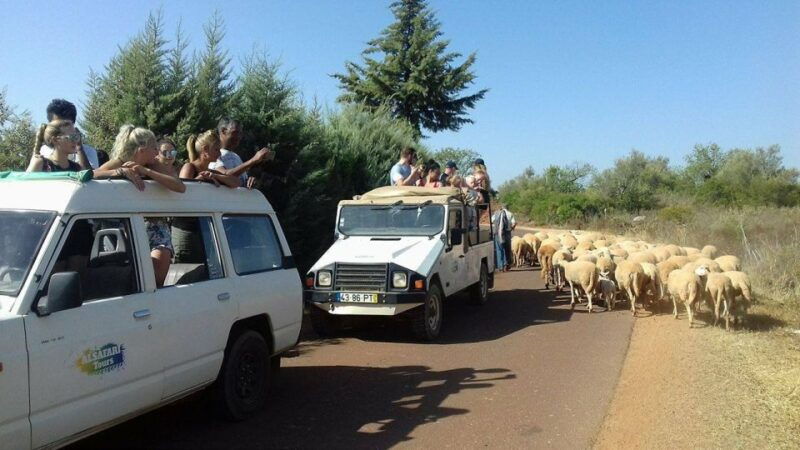 from-albufeira-4x4-off-road-safari-vineyard-wine-tasting
