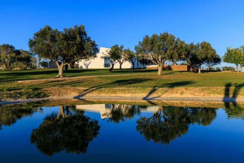 from-albufeira-4x4-off-road-safari-vineyard-wine-tasting
