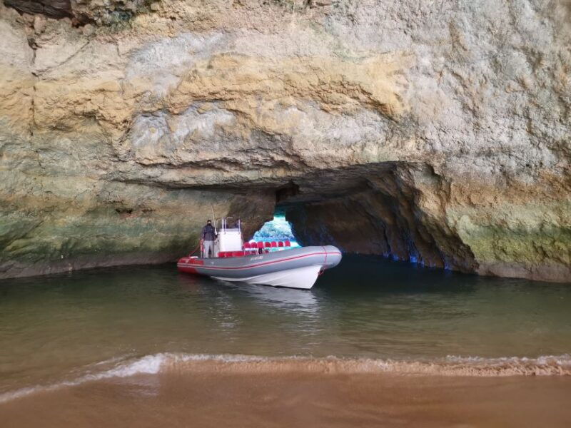 from-albufeira-benagil-caves-and-dolphins-guided-boat-tour