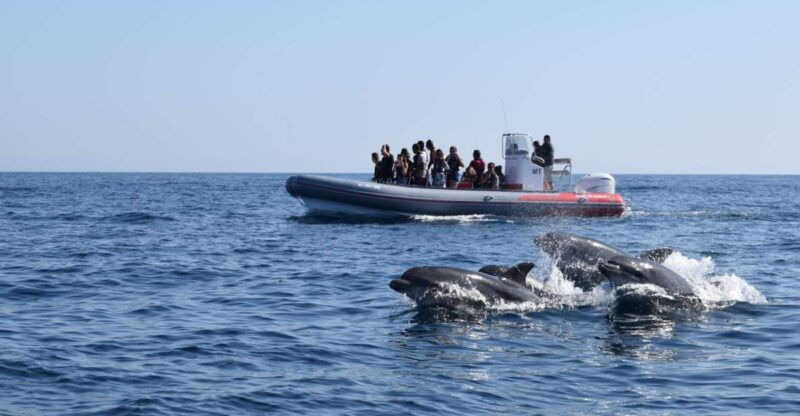 from-albufeira-benagil-caves-and-dolphins-guided-boat-tour