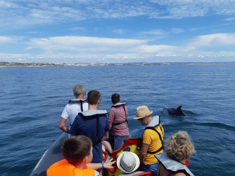 from-albufeira-benagil-caves-and-dolphins-guided-boat-tour