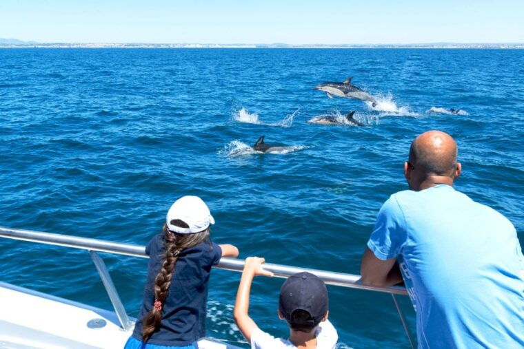 from-albufeira-dolphins-and-caves-2-5-hour-boat-trip