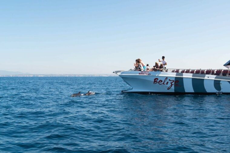 from-albufeira-dolphins-and-caves-2-5-hour-boat-trip