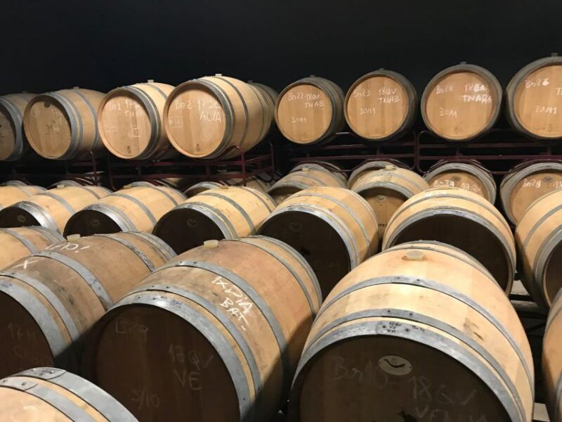 from-albufeira-full-day-wine-tasting-tour-with-a-guide