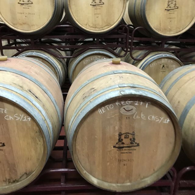 from-albufeira-full-day-wine-tasting-tour-with-a-guide