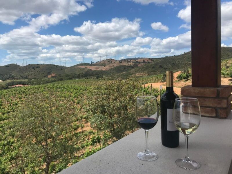 from-albufeira-full-day-wine-tasting-tour-with-a-guide