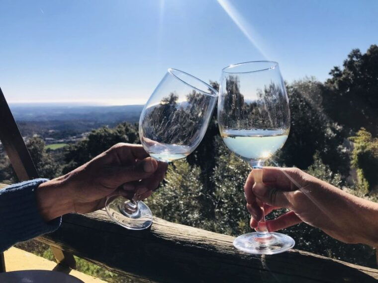 from-albufeira-full-day-wine-tasting-tour-with-a-guide