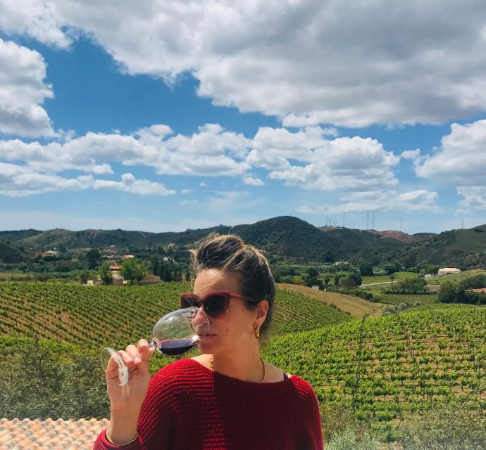 from-albufeira-full-day-wine-tasting-tour-with-a-guide