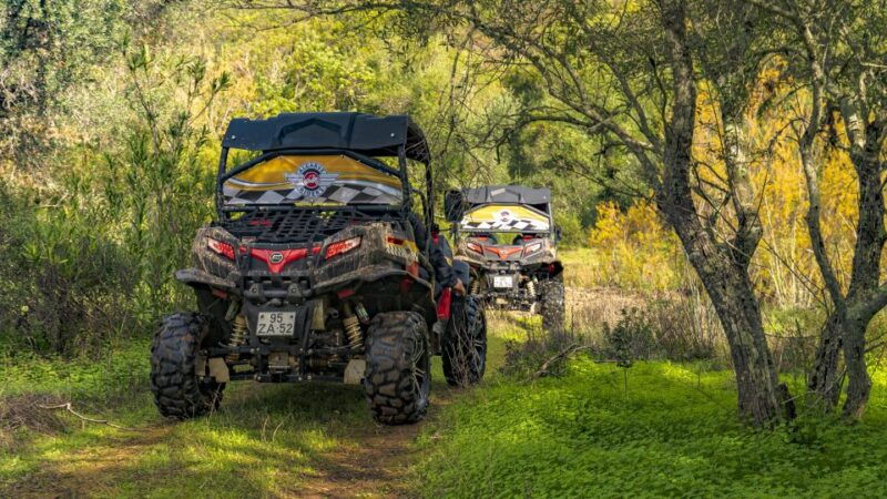 from-albufeira-half-day-buggy-adventure-tour