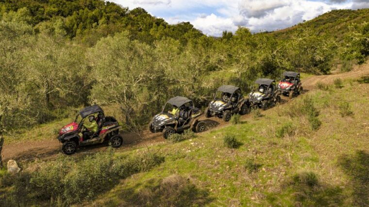 from-albufeira-half-day-buggy-adventure-tour