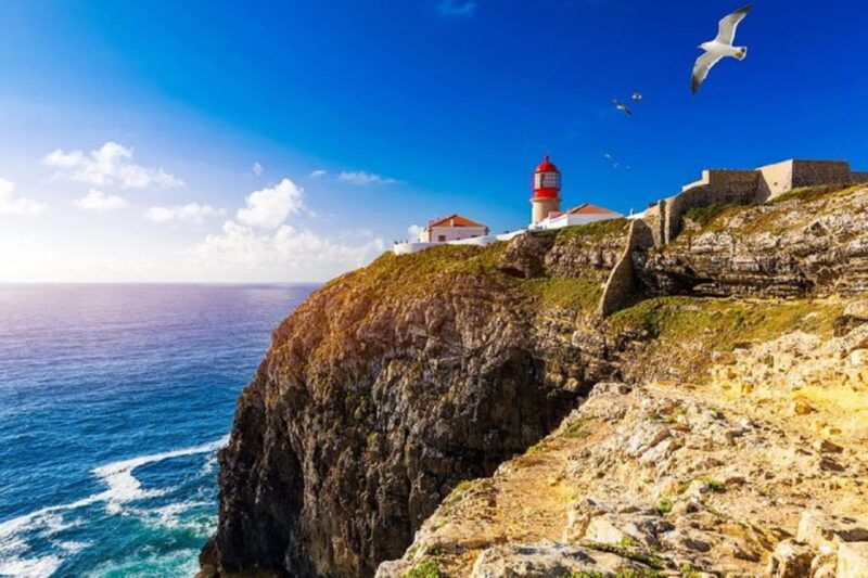 from-albufeira-half-day-lagos-sagres-highlights-tour