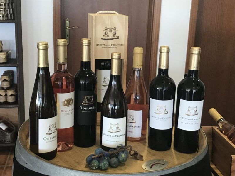 from-albufeira-half-day-winery-tour-and-silves
