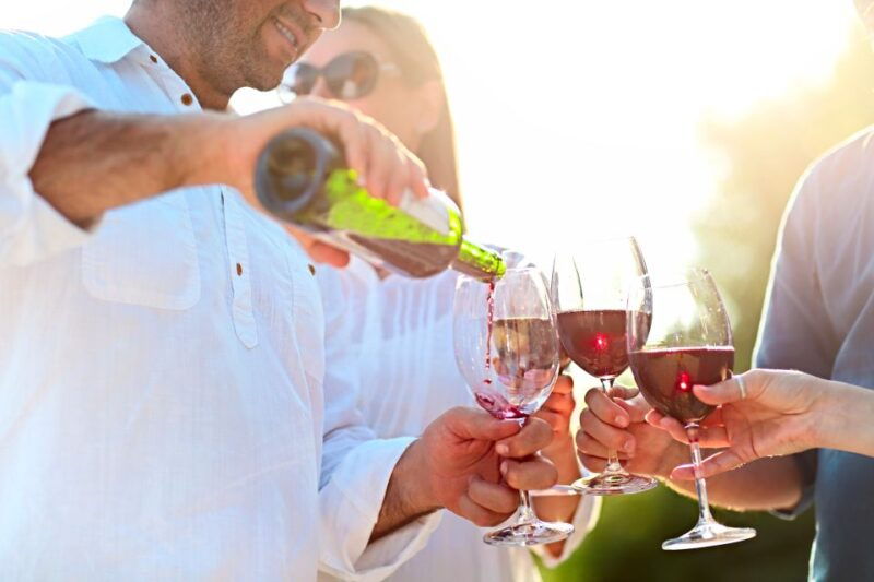 from-albufeira-half-day-winery-tour-and-silves