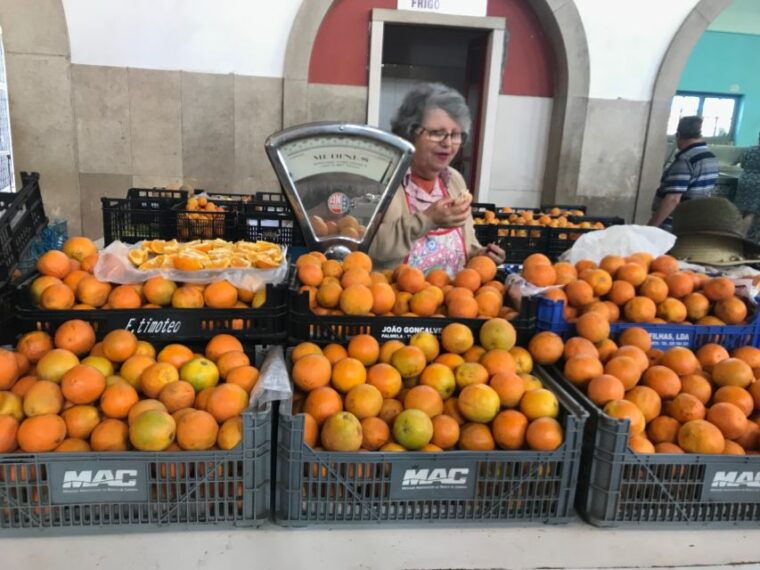 from-albufeira-half-day-winery-tour-and-silves