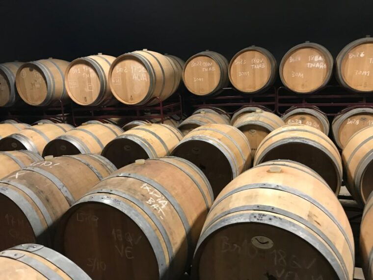 from-albufeira-half-day-winery-tour-and-silves