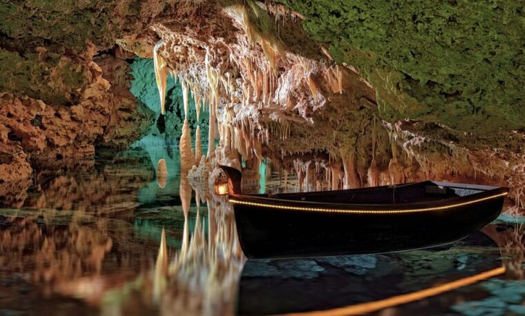 from-alcudia-dinosaurland-and-hams-caves-half-day-trip