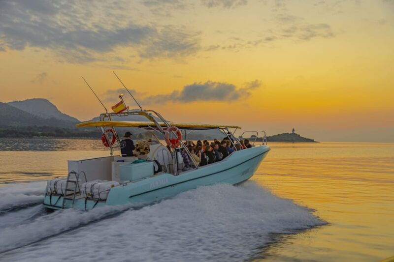 from-alcudia-sunrise-dolphin-watching-boat-tour