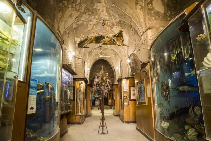 From Alexandria: Full-Day Guided Tour of Historical Sights - Frequently Asked Questions
