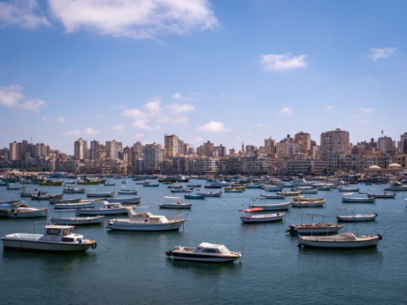 From Alexandria: Highlights of Alexandria Full City Tour - Key Points  