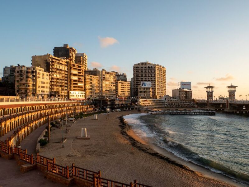 From Alexandria: Highlights of Alexandria Full City Tour - Why Choose This Tour?  
