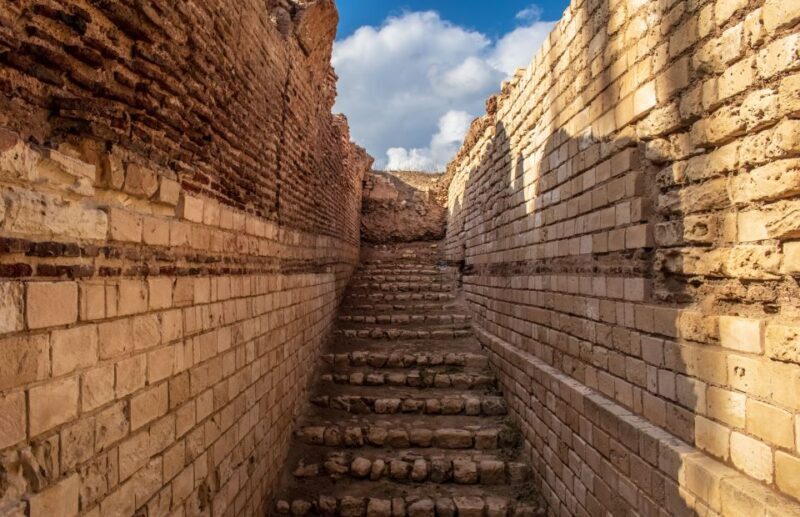 From Alexandria: Highlights of Alexandria Full City Tour - Who Is This Tour Best For?  