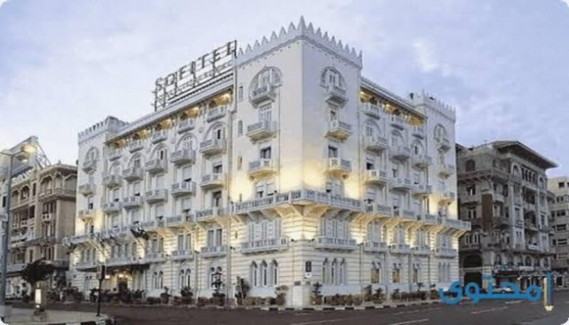 From Alexandria Port: Alexandria Day Tour - Who Will Love This Tour?