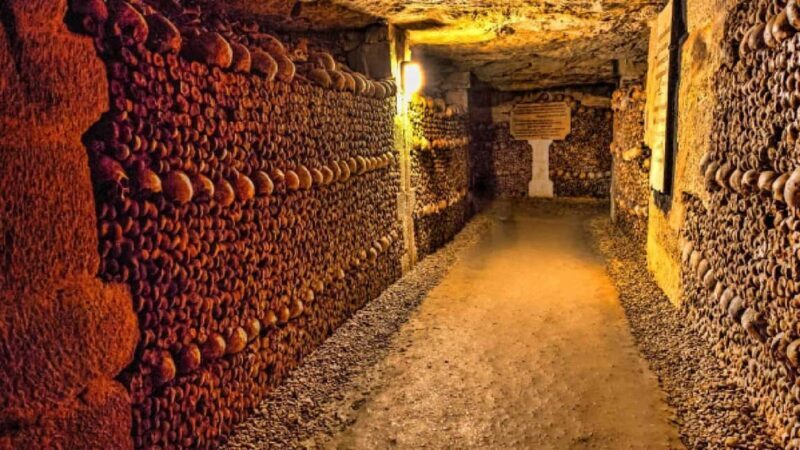 From Alexandria Port: Citadel & Catacombs Private City Tour - Practical Details & Value  