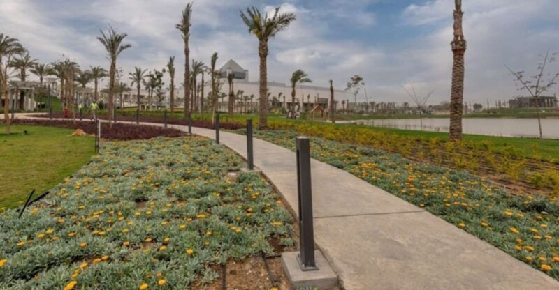 From Alexandria Port: National Museum & Egyptian Museum Tour - Who Is This Tour Best For?