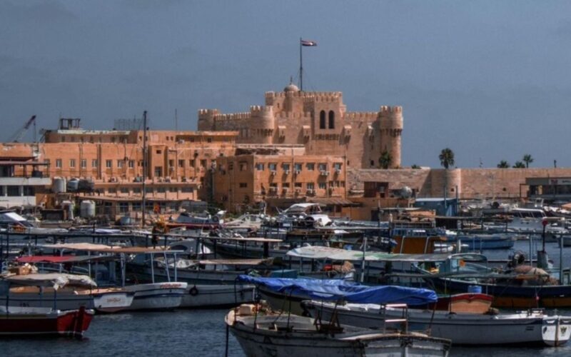 From Alexandria Port: Private Guided Day Tour of Alexandria - Overview of the Alexandria Private Tour
