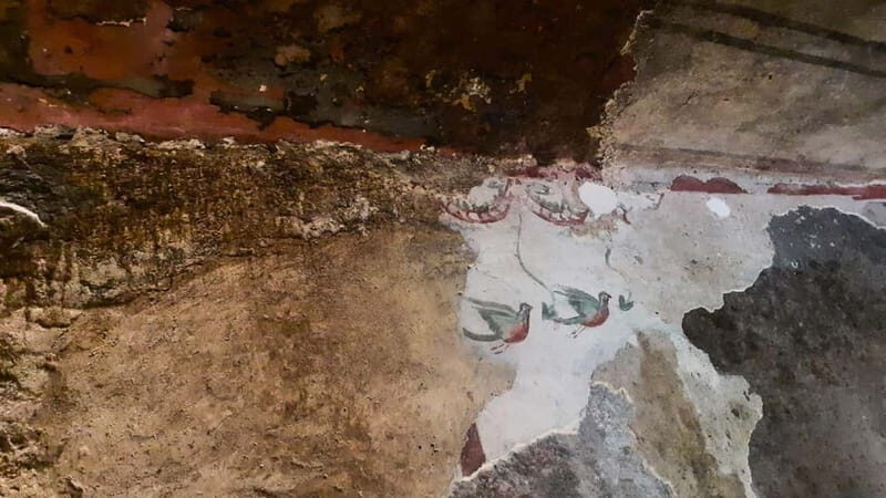 From Alghero: Archaeological Highlights Tour with Lunch - Key Points