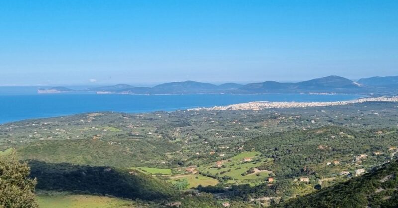 From Alghero: Farm to Table cooking experience in Montresta - The Sum Up