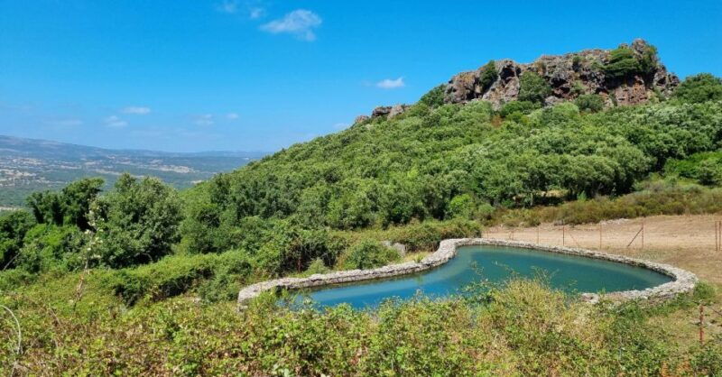 from-alghero-farm-to-table-cooking-experience-in-montresta