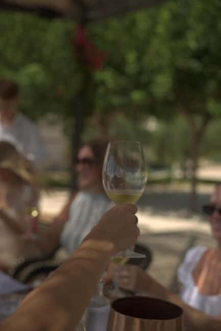 From Alicante: 2 Premium Wine Tastings and Tapas - Why This Tour Stands Out