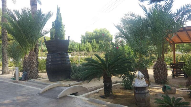 From Alicante: 3 Generation Family Owned Winery  4 testings - The Itinerary: What Does the Day Look Like?