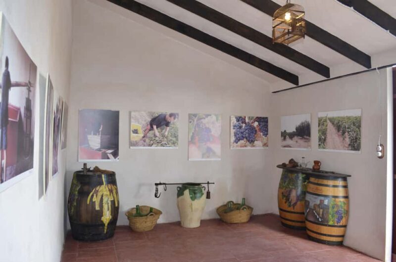 From Alicante: 3 Generation Family Owned Winery  4 testings - The Sum Up