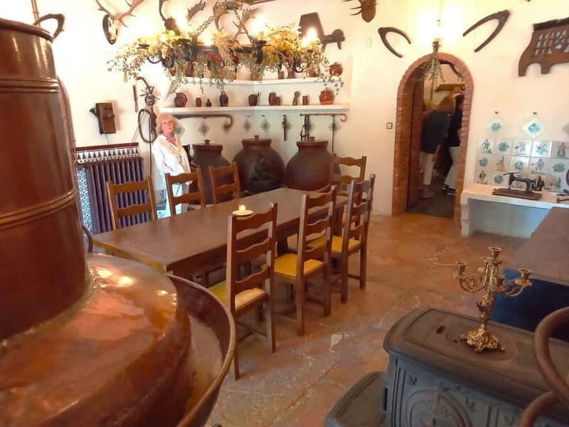 From Alicante and Elche: Guided tour for vineyard and winery with tasting - Practical Details and Value